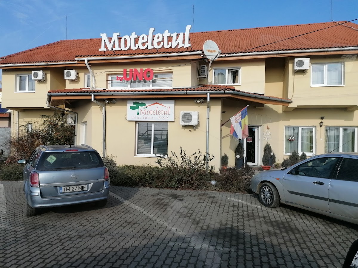 Moteletul - foto 3