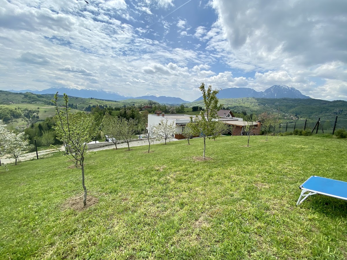 Mountain View P.M. - foto 5