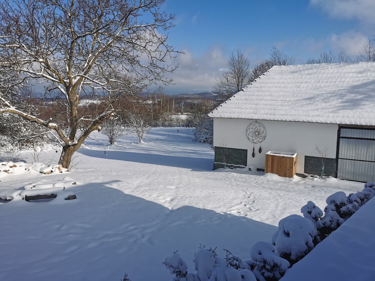 Mounteecatcher - cazare-tomnatic-bihor