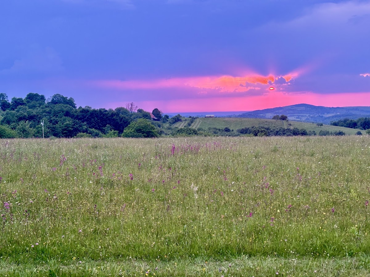 Mounteecatcher - cazare-tomnatic-bihor