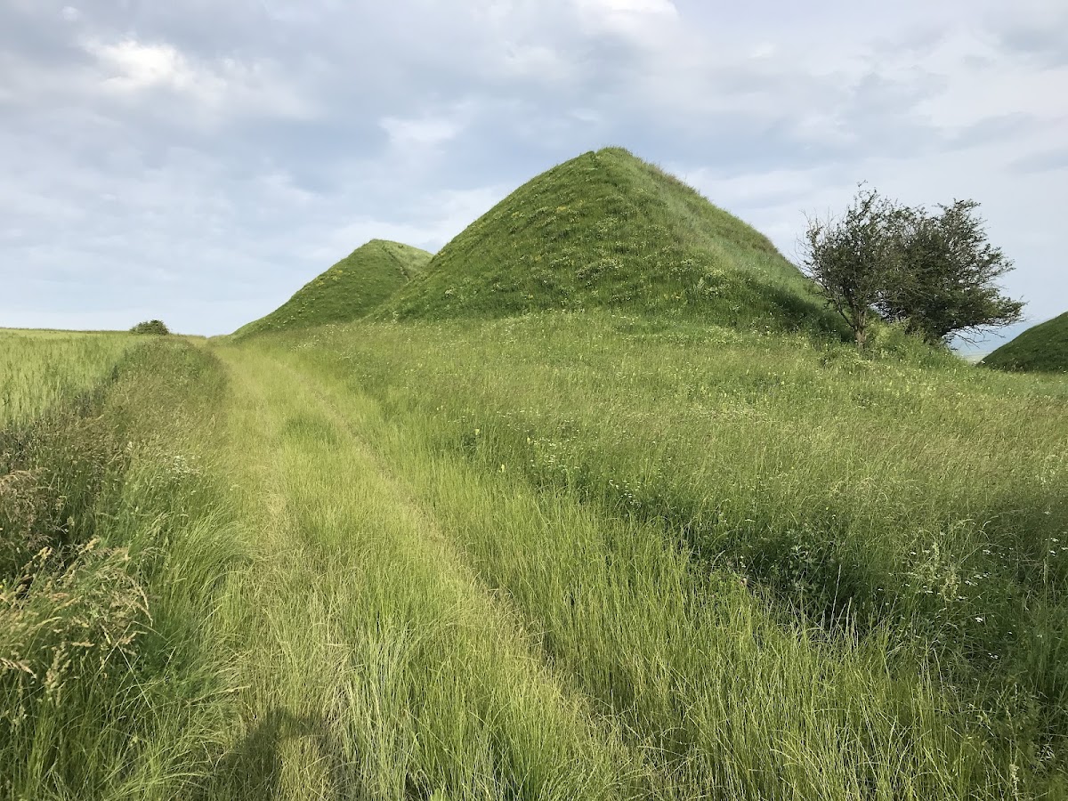 Movilele de la Șona - foto 1