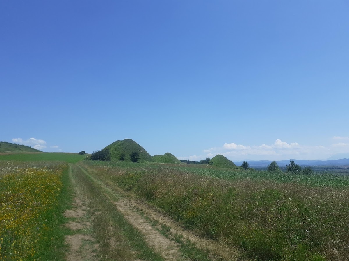 Movilele de la Șona - foto 3