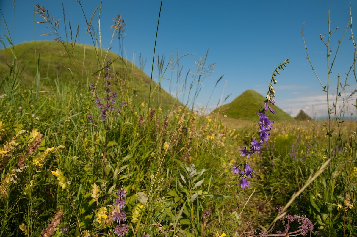 Movilele de la Șona - foto 4