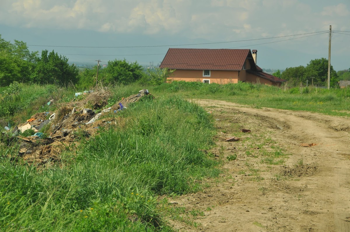 Movilele de la Șona - foto 5