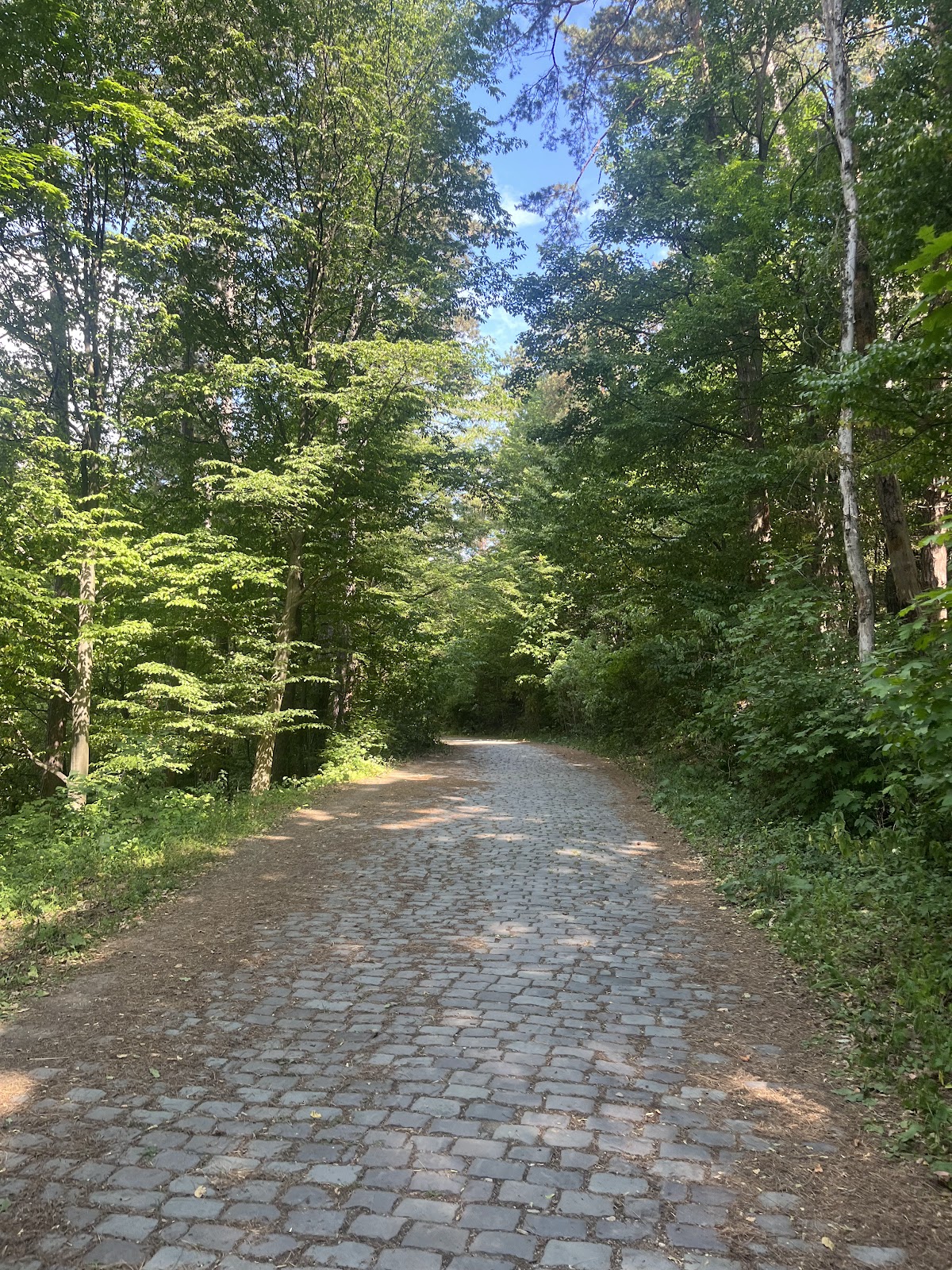 Muntele Cozla - foto 4