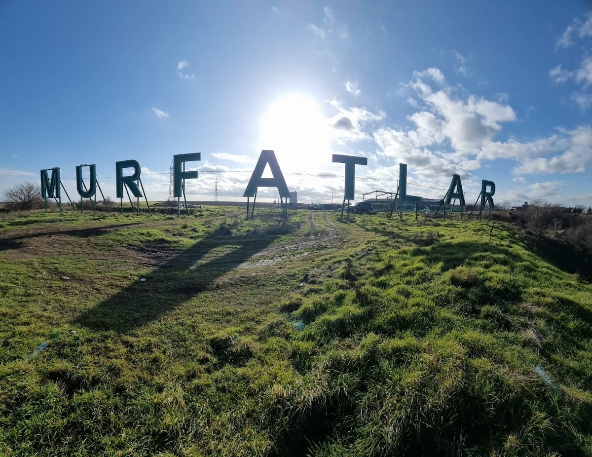 Murfatlar loc. - foto 3