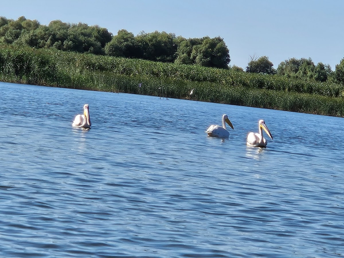 Murighiol Delta Dunarii - foto 2