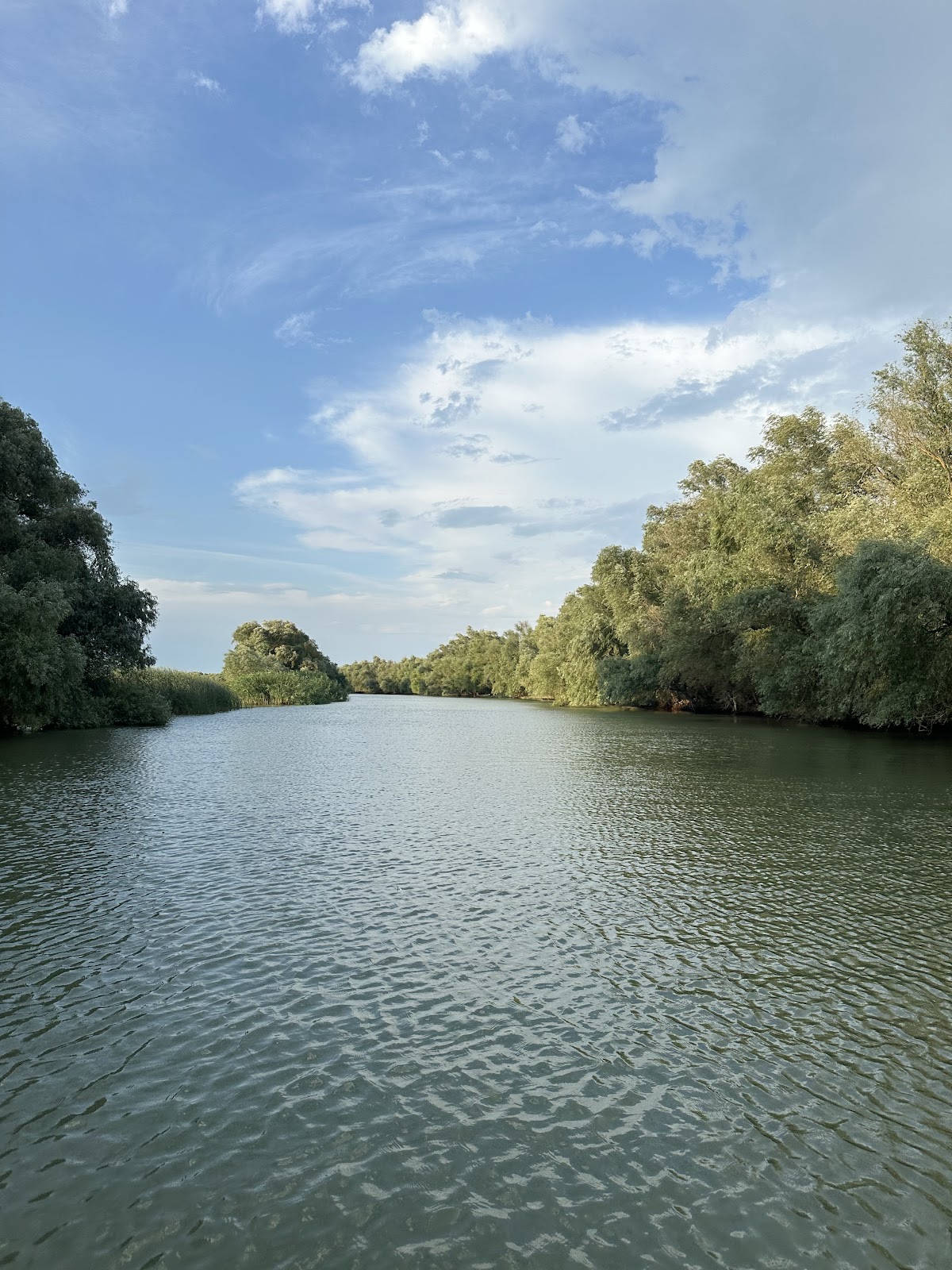 Murighiol Delta Dunarii - foto 4