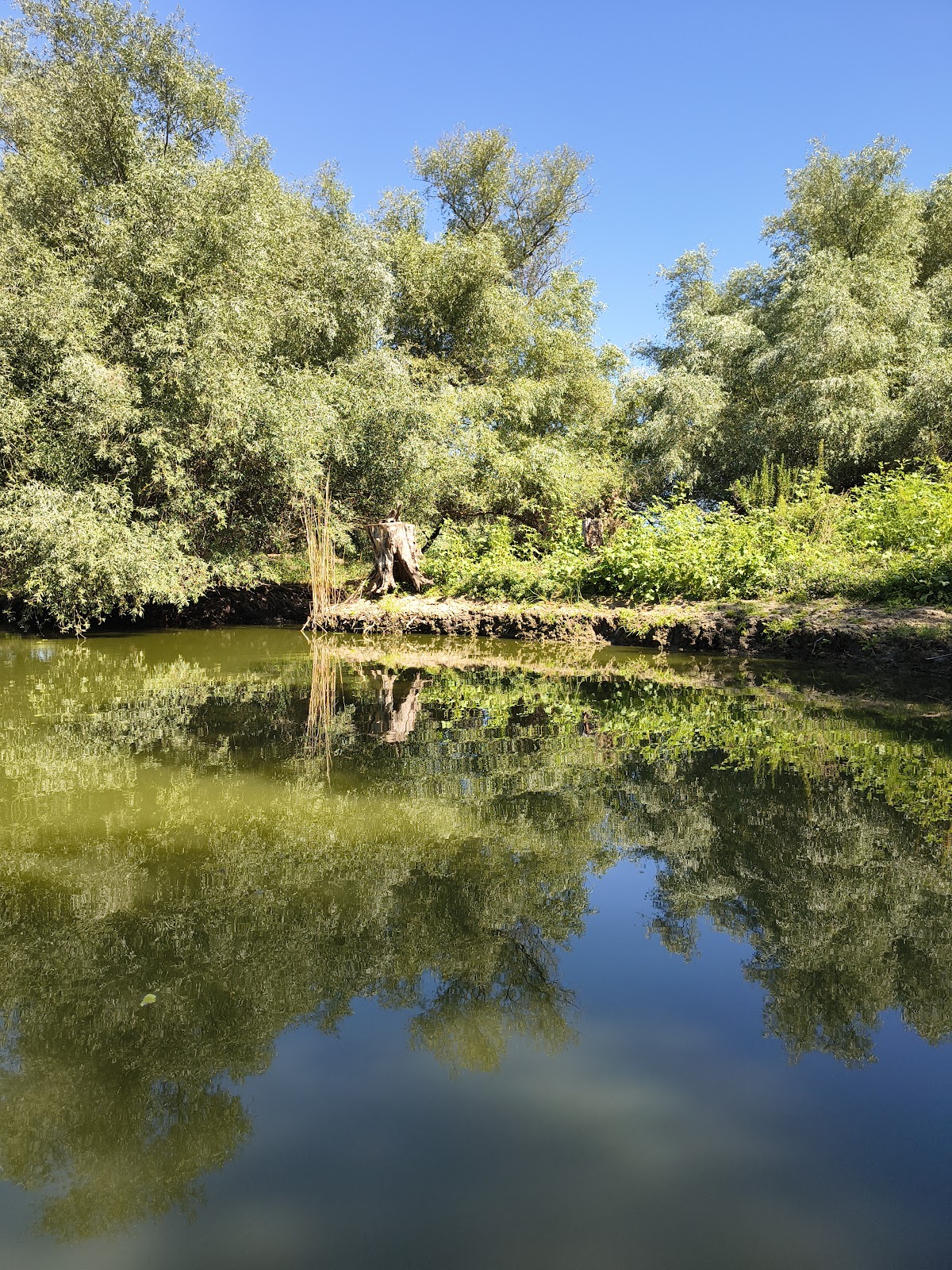 Murighiol Delta Dunarii - foto 5