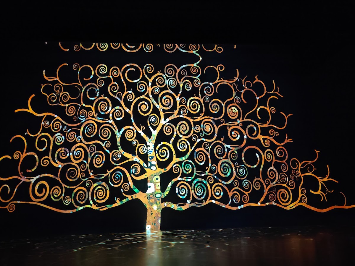 Museum of Immersive New Art, MINA - foto 2