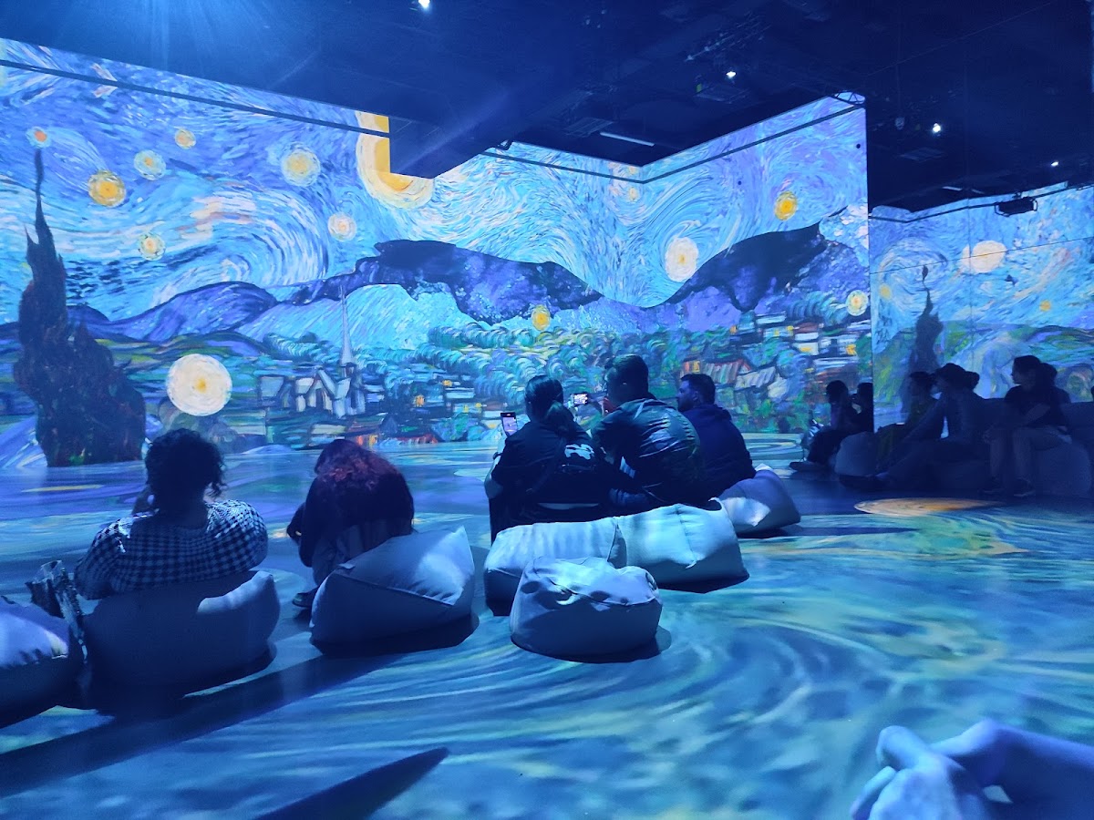 Museum of Immersive New Art, MINA - foto 3