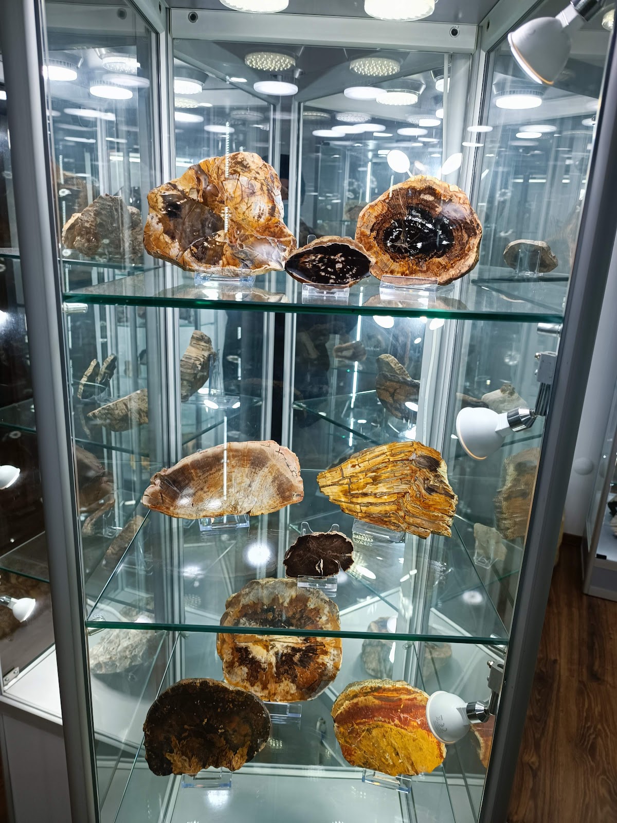 Muzeu Mineral Toda - foto 3