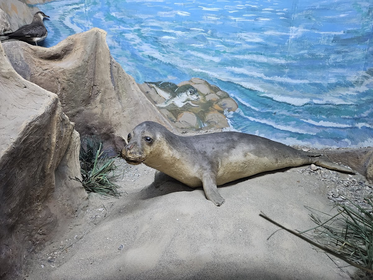 Muzeul Apelor Mihai Bacescu - foto 5