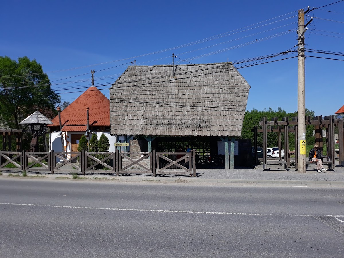 Muzeul Apelor Minerale - foto 3