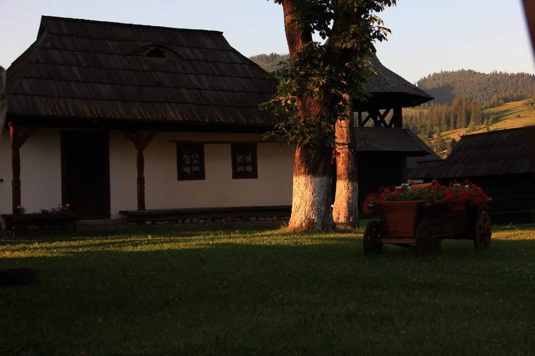 Muzeul Arta Lemnului - foto 1