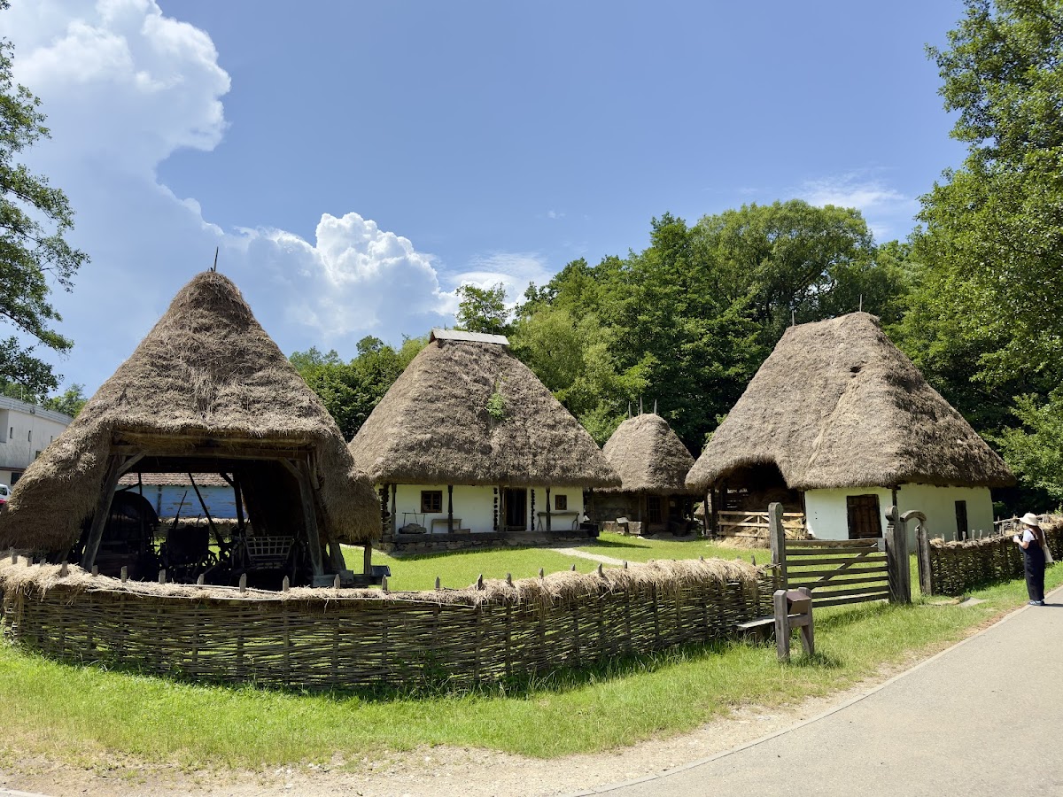 Muzeul ASTRA - foto 1