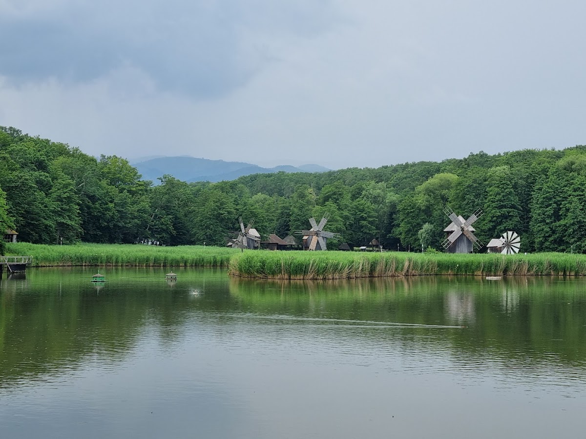 Muzeul ASTRA - foto 4