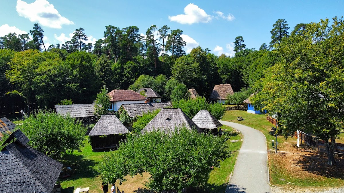 Muzeul ASTRA - foto 5