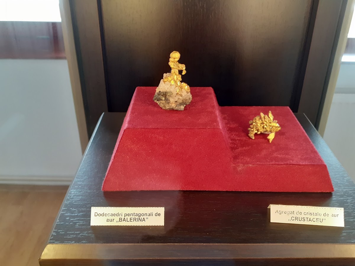 Musée de l'Or de Brad - foto 2