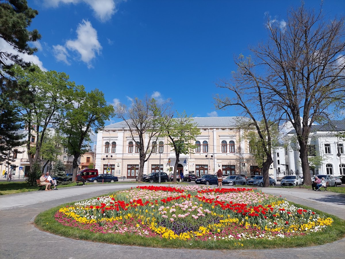 Museo de Brăila "Carol I" - foto 5