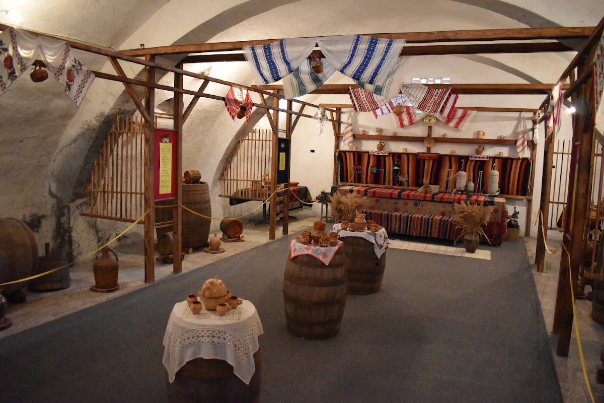 博伊安平原博物馆 Traian Zorzoliu - foto 1