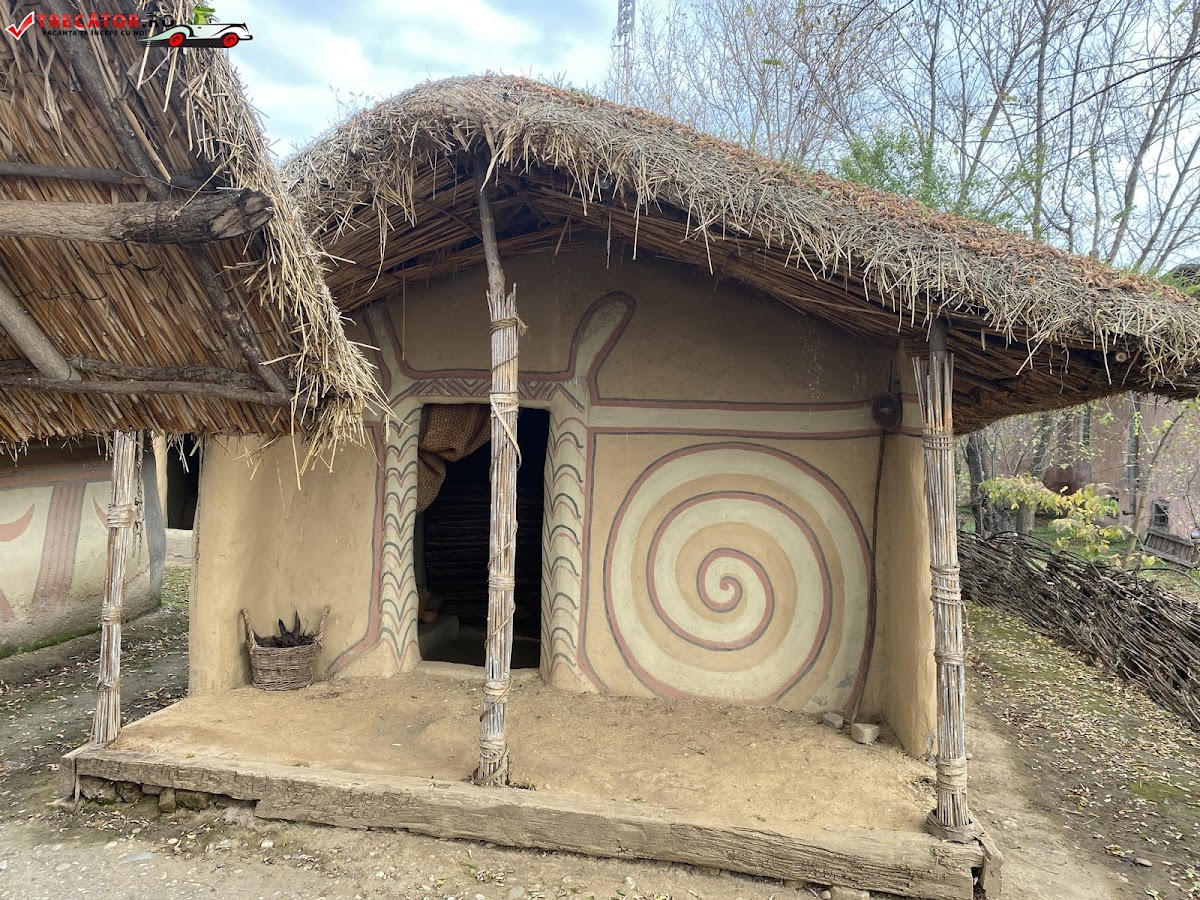 博伊安平原博物馆 Traian Zorzoliu - foto 2