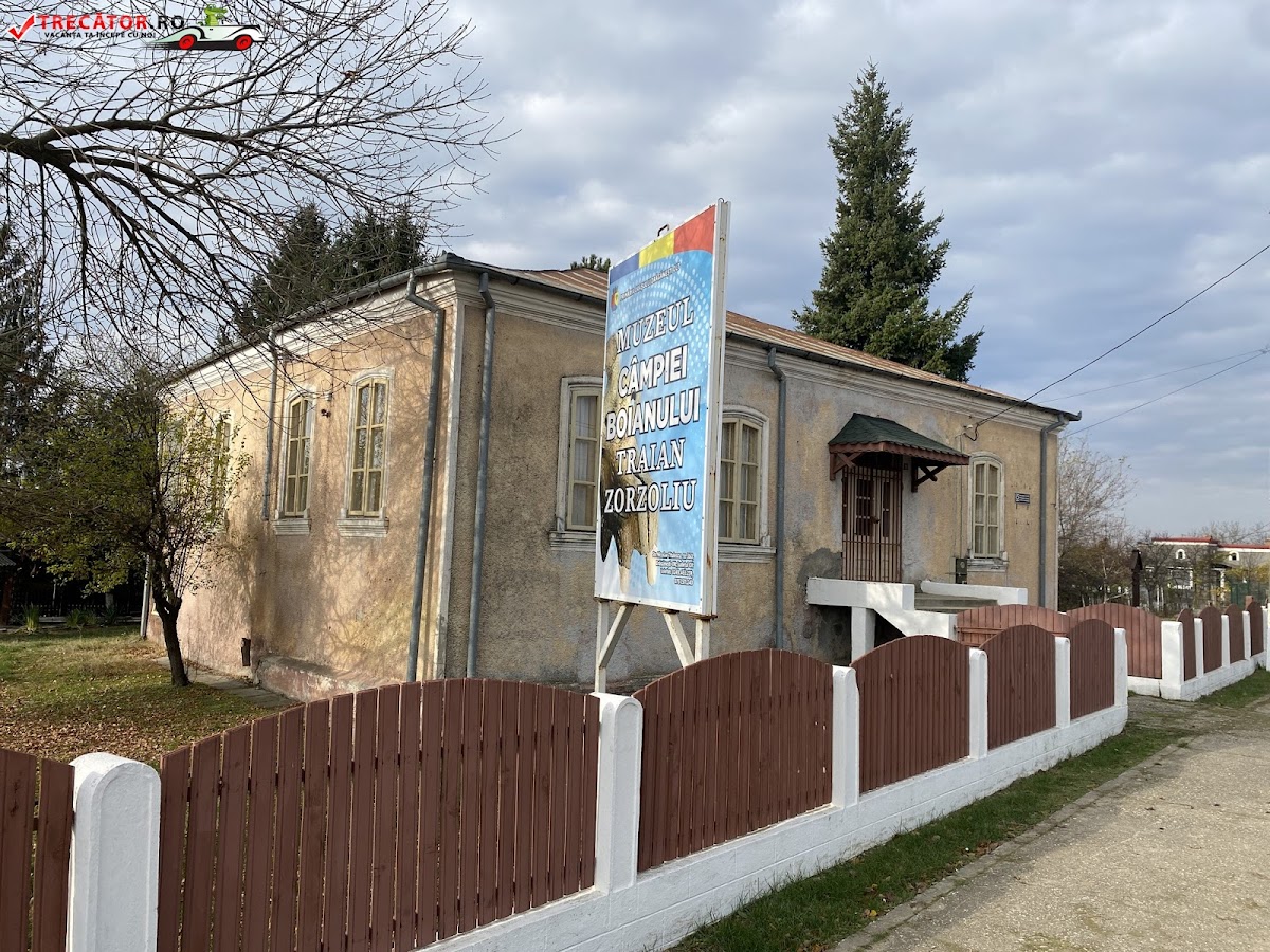 博伊安平原博物馆 Traian Zorzoliu - foto 3