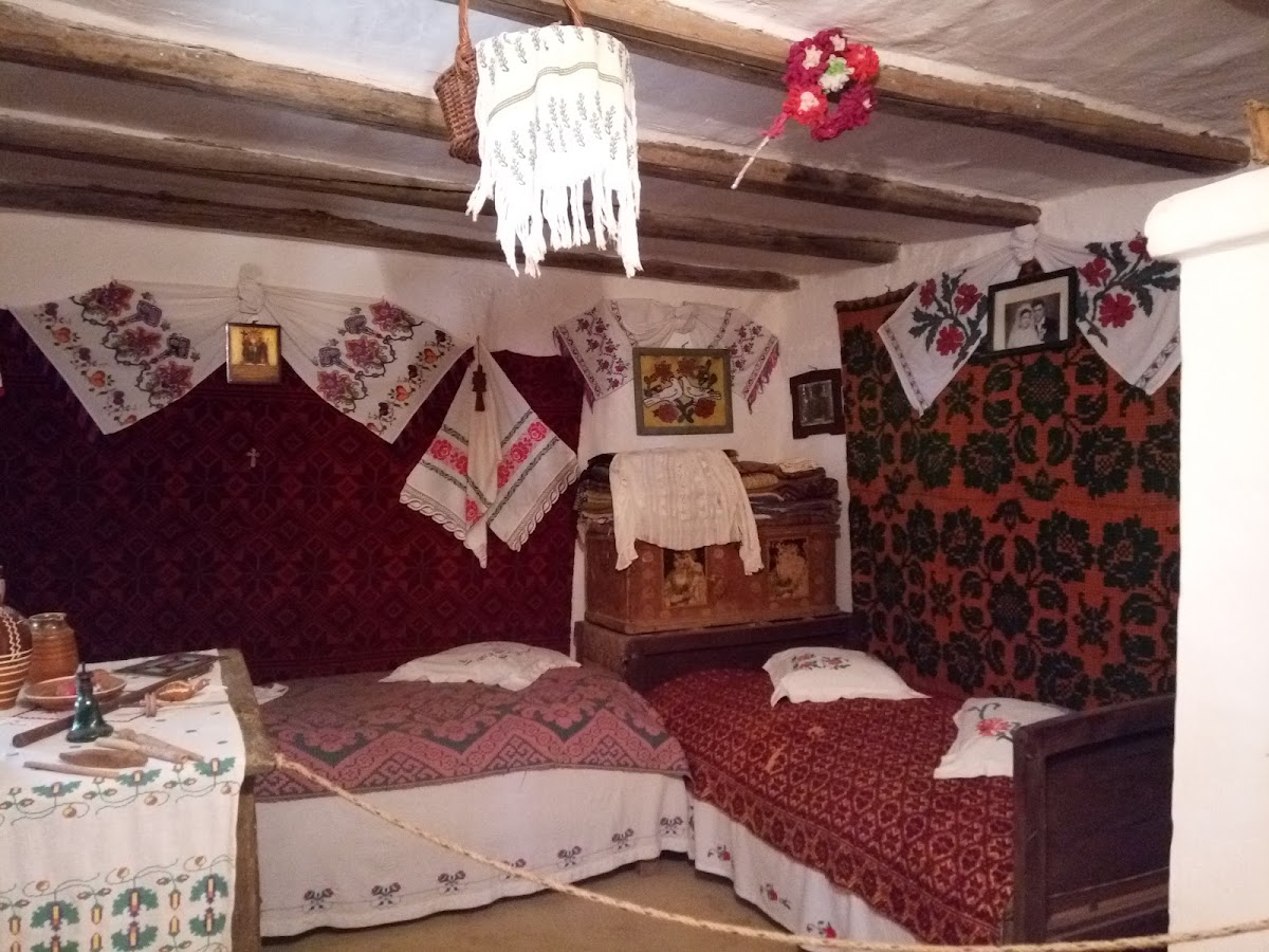 博伊安平原博物馆 Traian Zorzoliu - foto 4