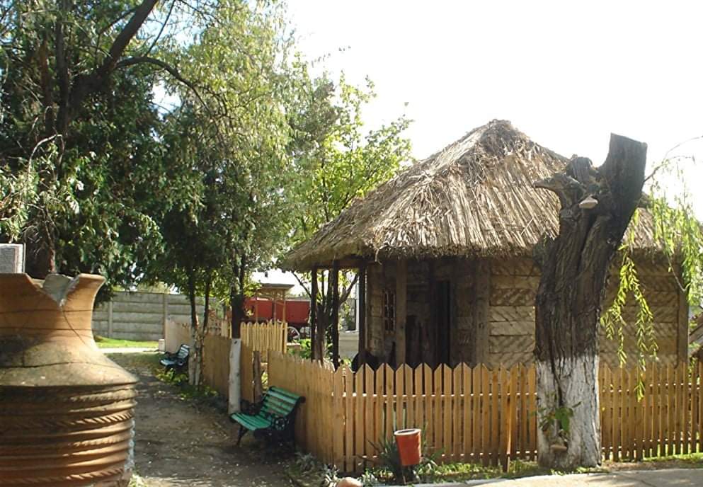 博伊安平原博物馆 Traian Zorzoliu - foto 5