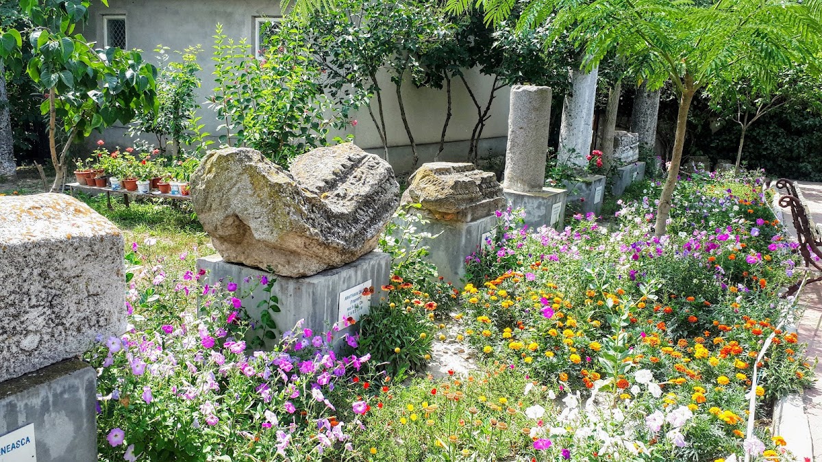 Museo "Carsium" - foto 5