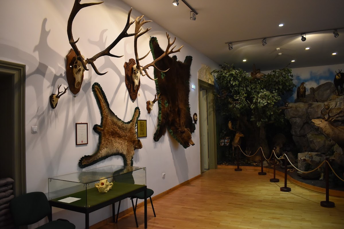 Muzeul Cinegetic al Ținutului Secuiesc - foto 4