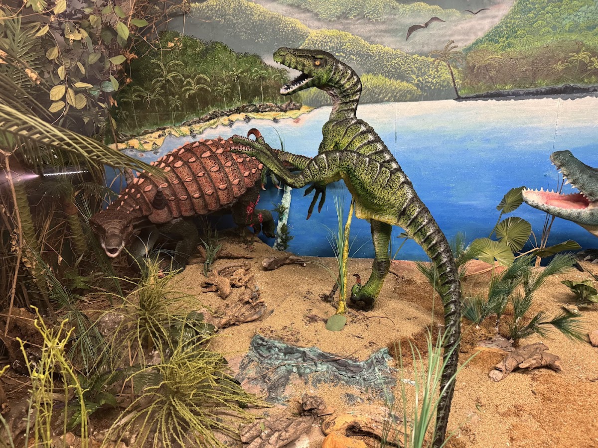 Muzeul Civilizației Dacice și Romane - foto 3