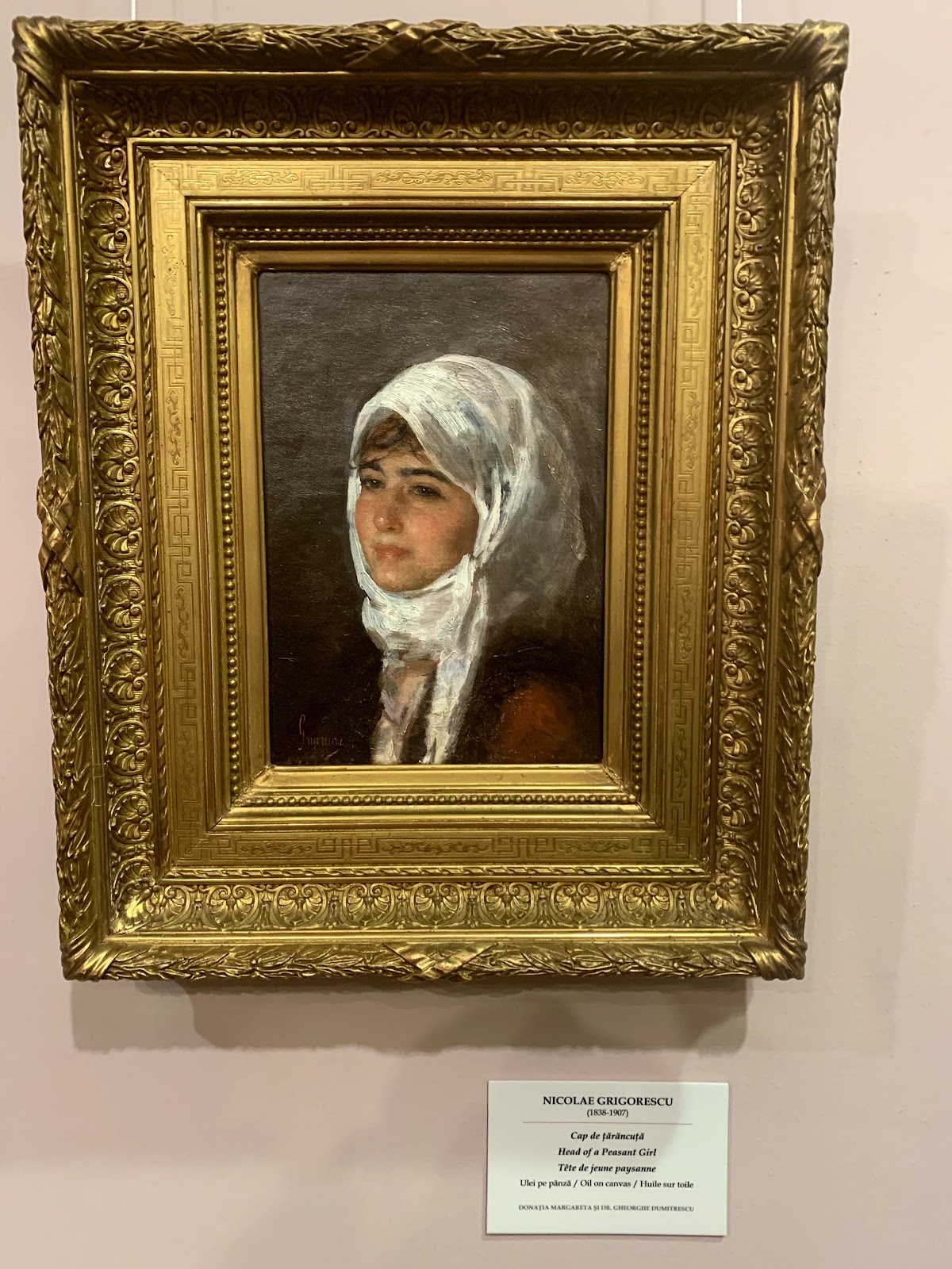 Museo de Colecciones de Arte - foto 5