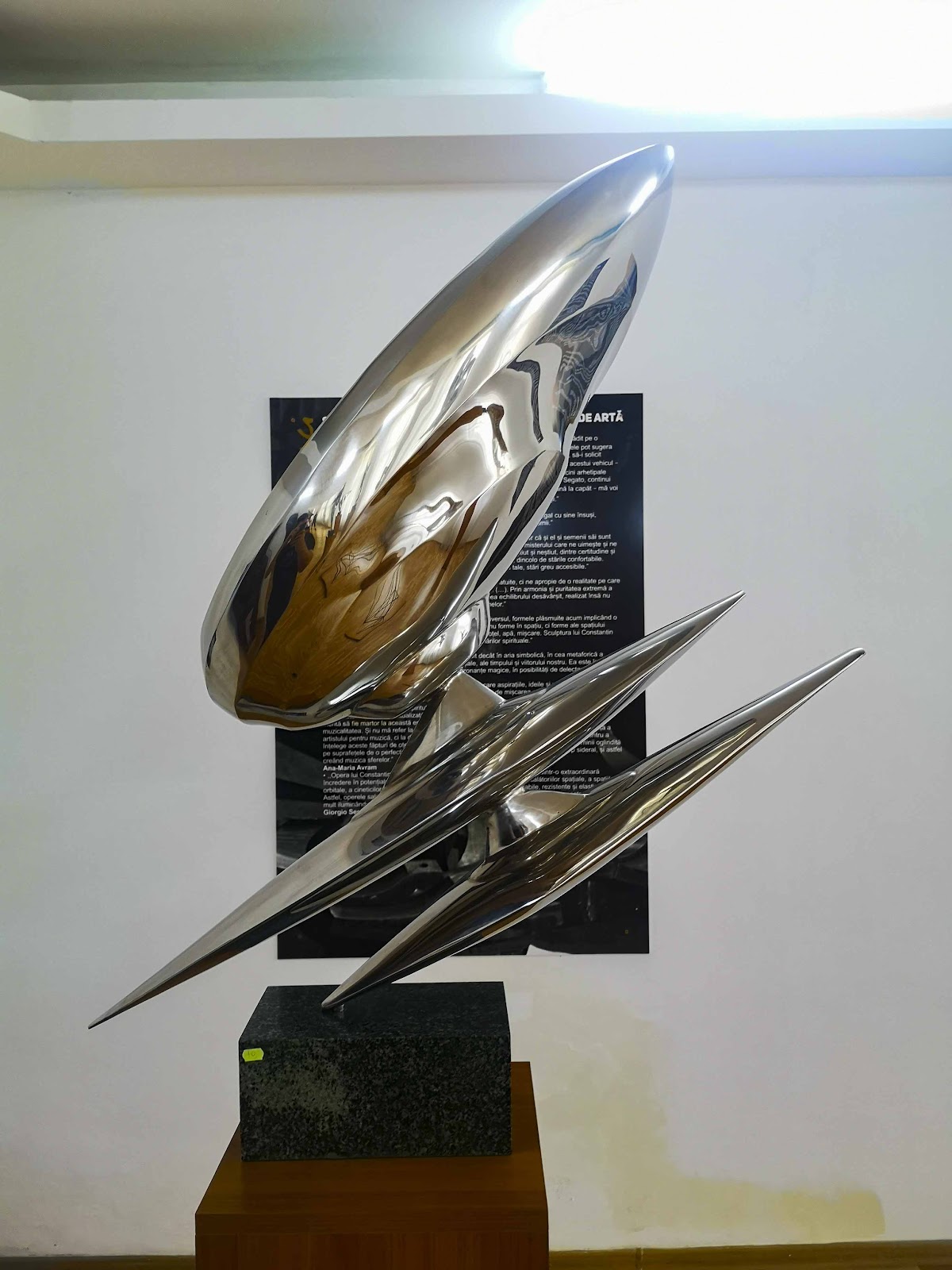 Museo Constantin Lucaci "Espacio y Luz" - foto 5