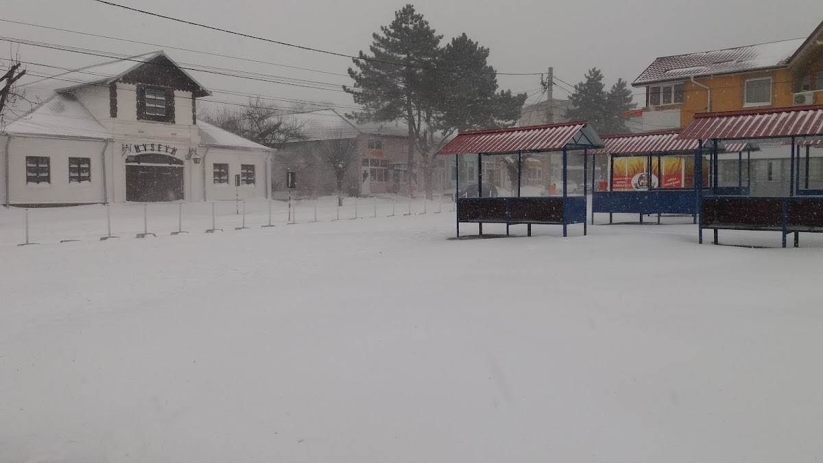 Archaeology Museum in Săveni - foto 3