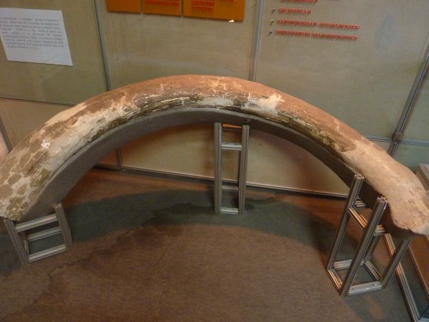 Archaeology Museum in Săveni - foto 4