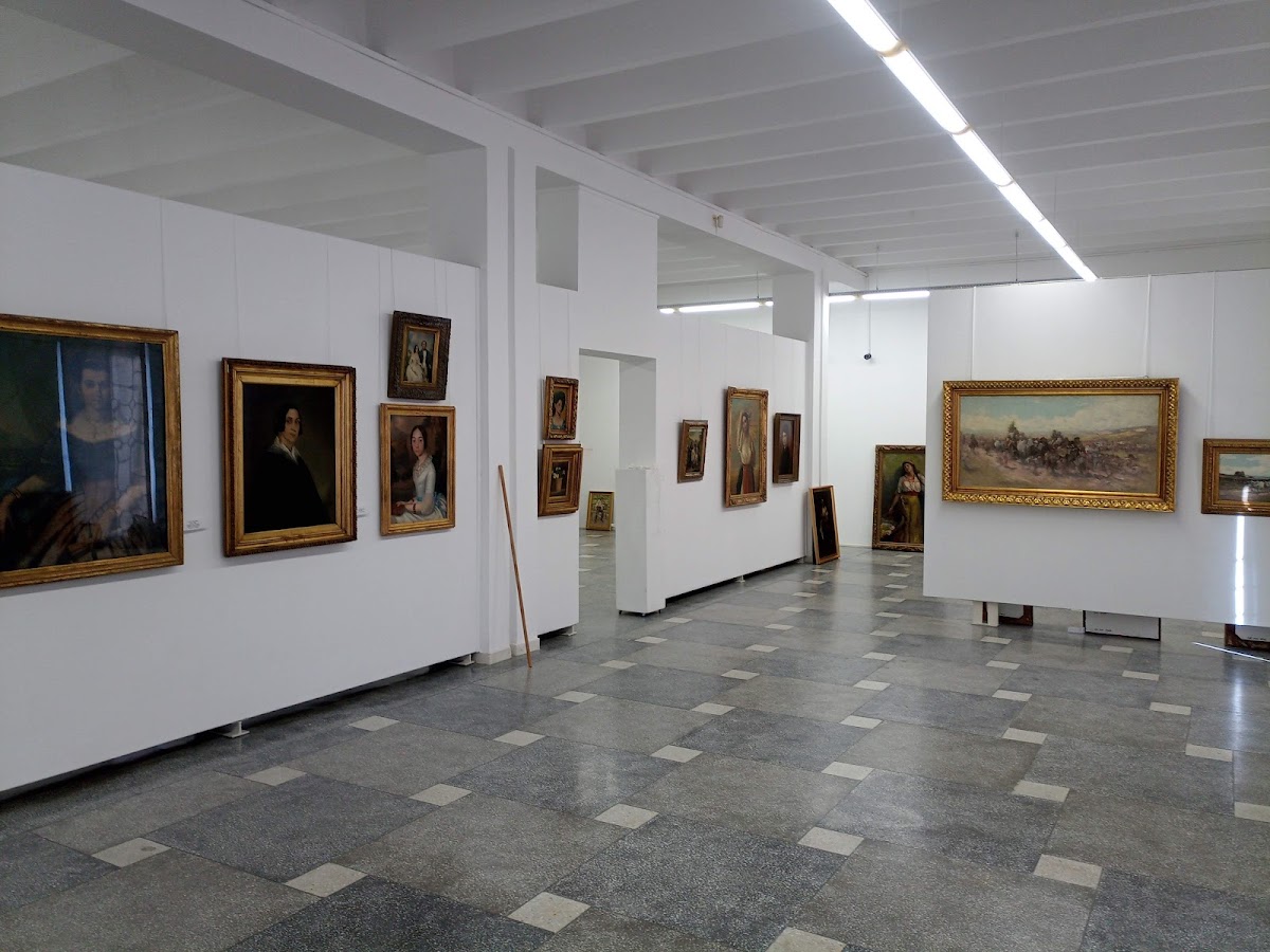 Muzeul de Artă din Bacău