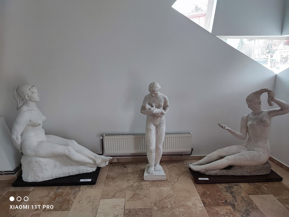 Museo de Arte de Bacău - foto 2
