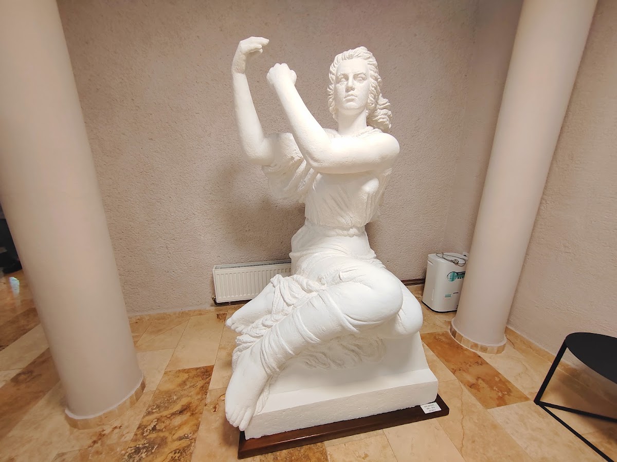 Museo de Arte de Bacău - foto 4