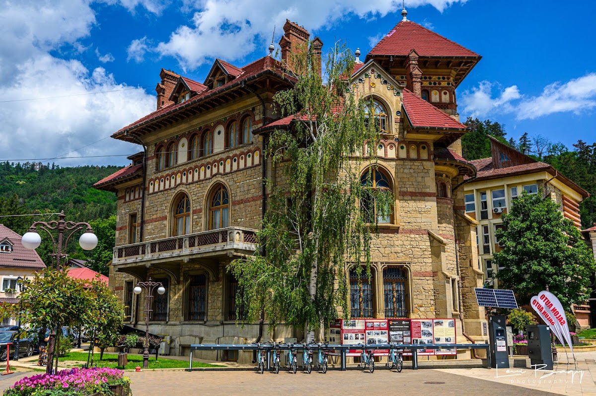 Muzeul de Artă Eneolitică "Cucuteni" - foto 3