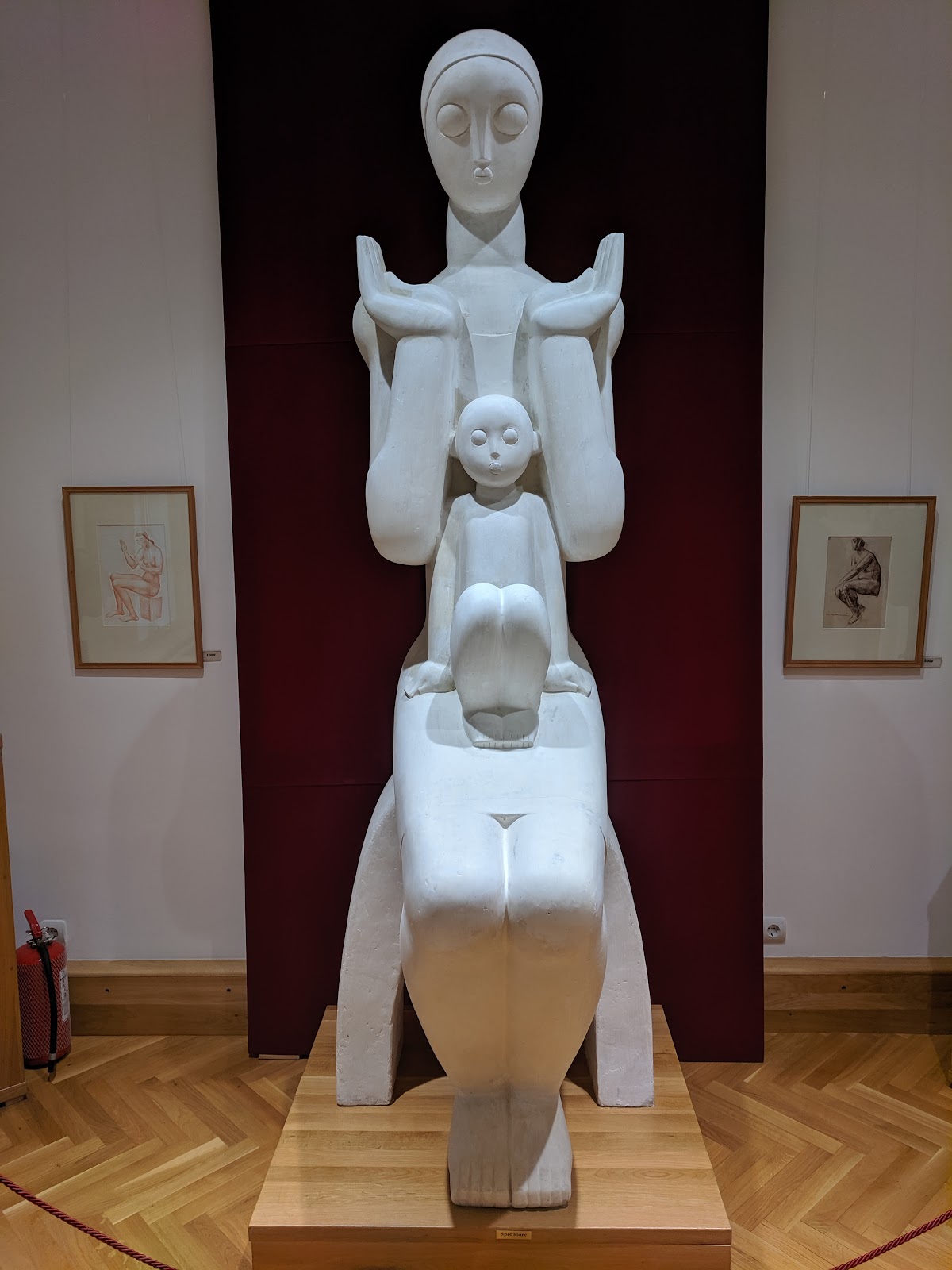 Kunstmuseum „Ion Irimescu“ - foto 2