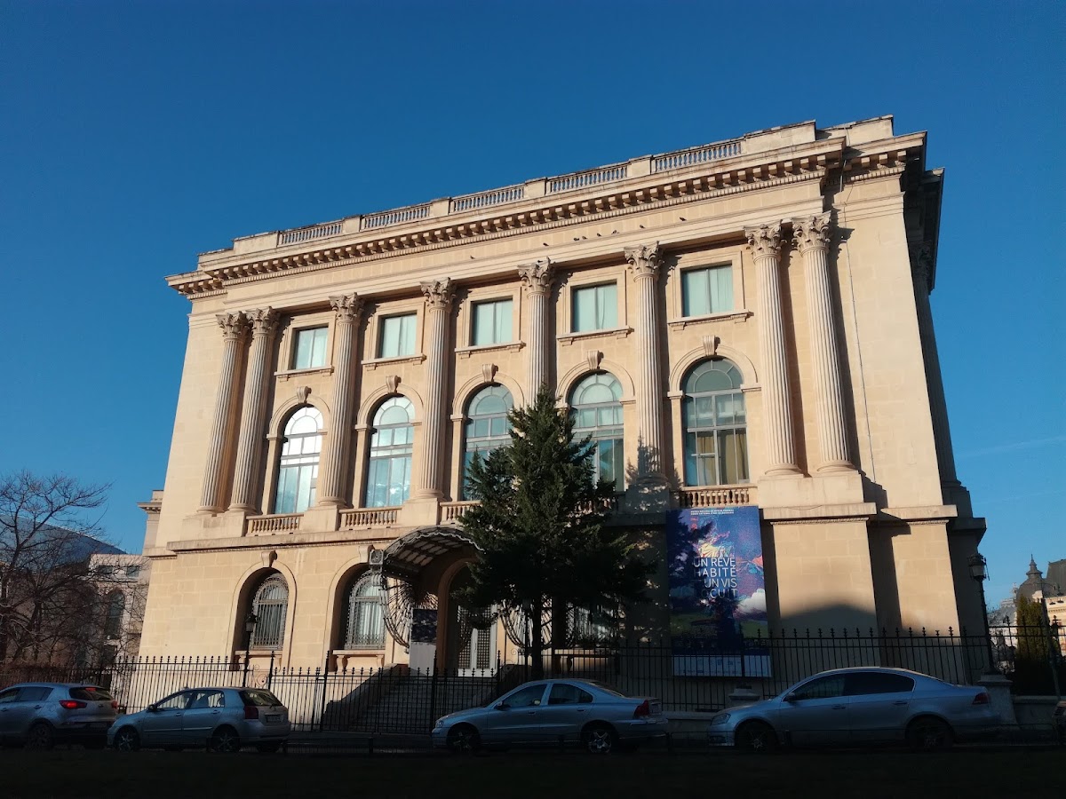 Muzeul de Arta Moderna si Contemporana Pavel Susara - foto 3