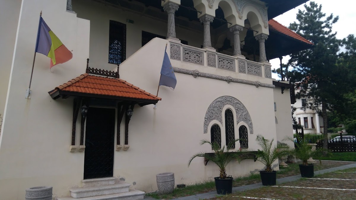 Prof. Dr. Nicolae Minovici Museum of Folk Art - foto 3