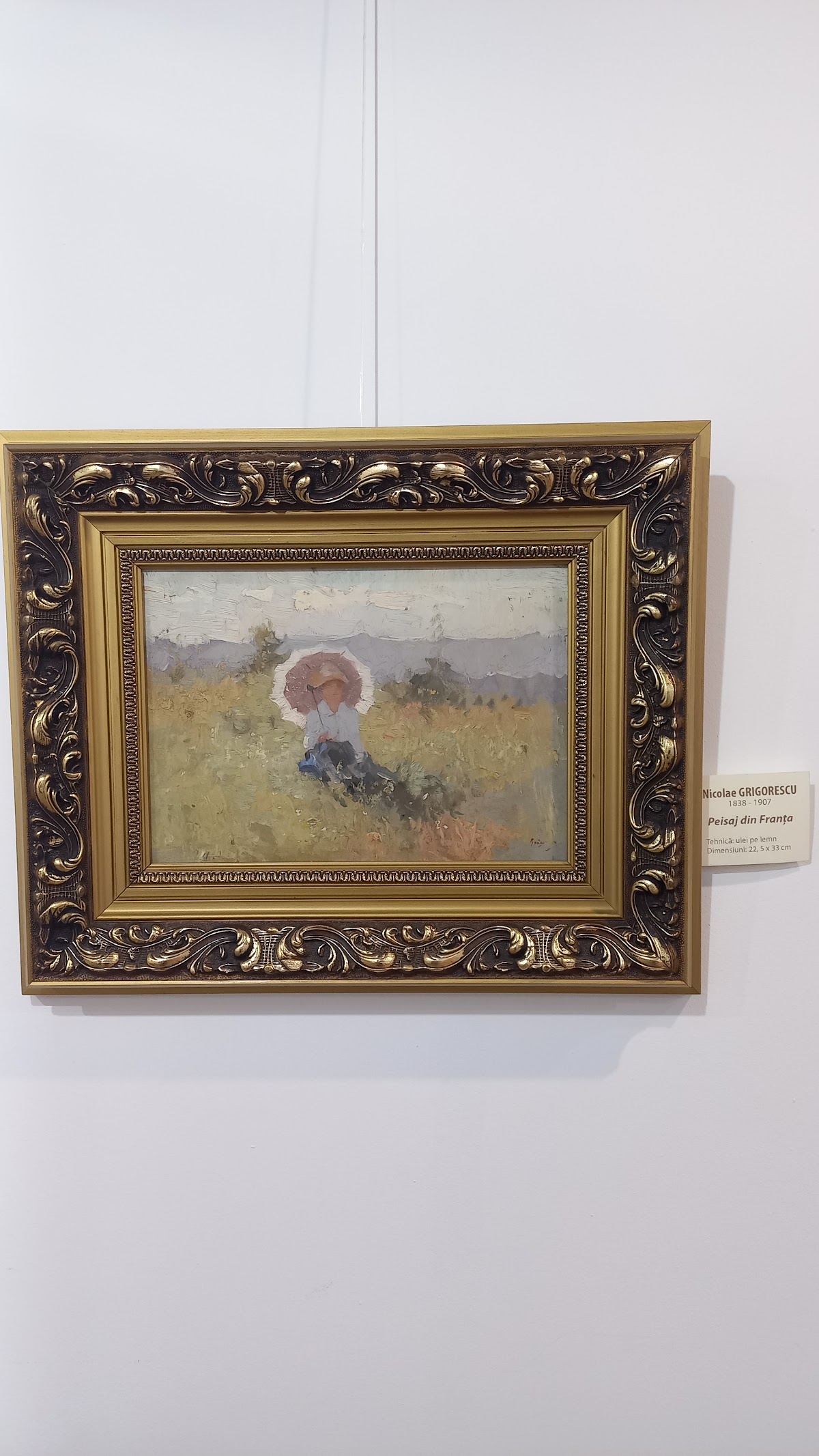 Musée d'Art Visuel - foto 5