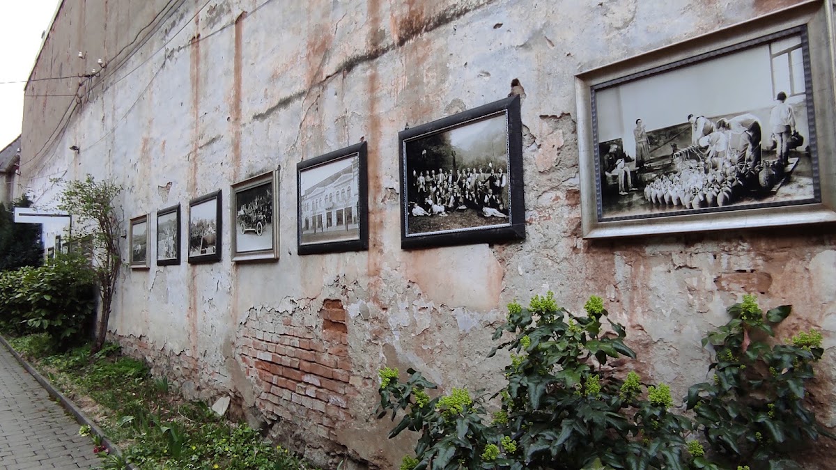Museo de Fotografía Kováts - foto 4