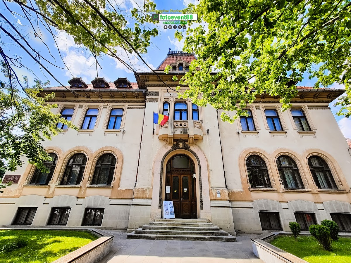 历史博物馆 - foto 2