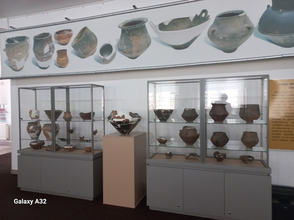 Musée d'Histoire du Comté de Vâlcea