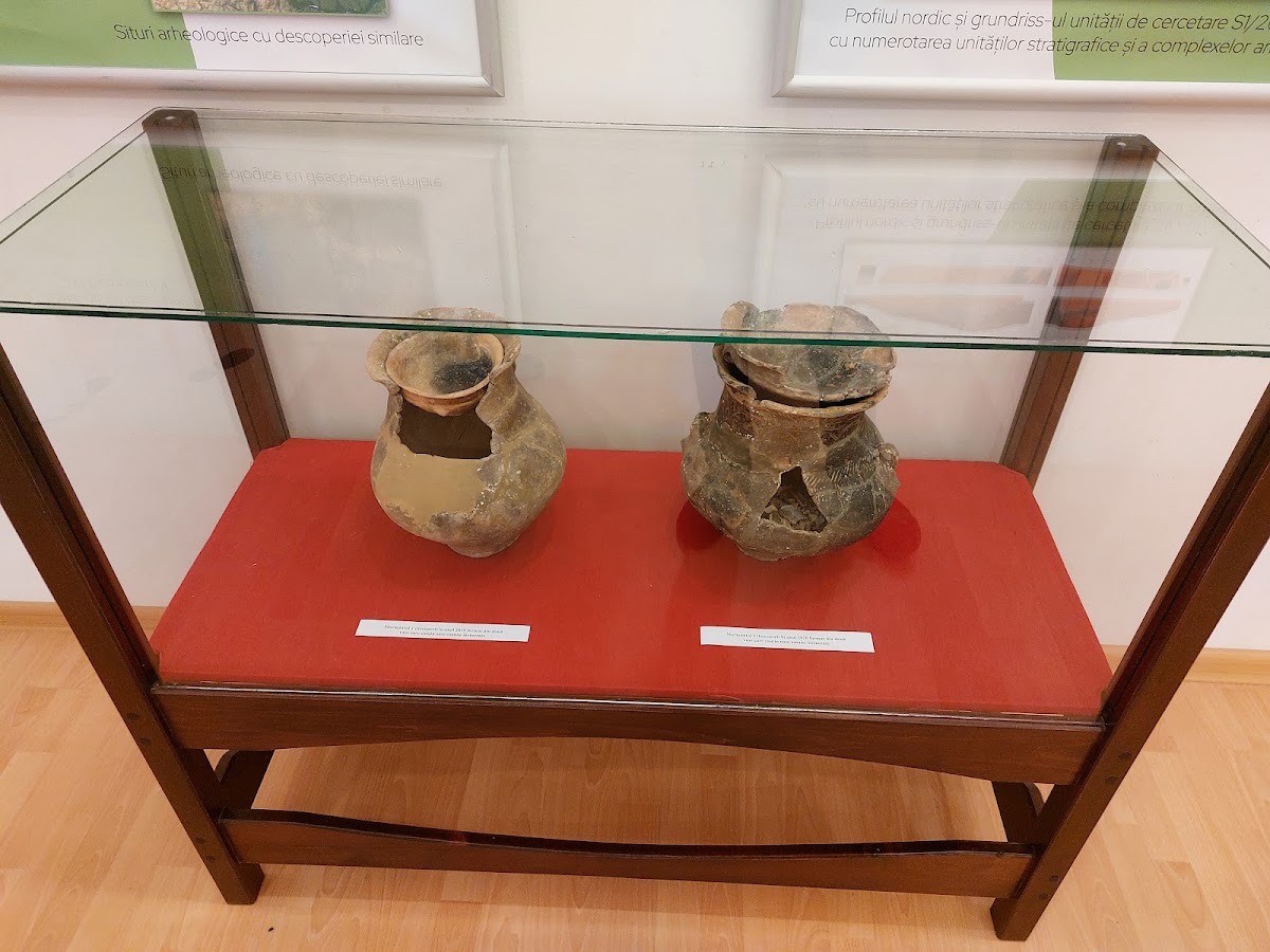 Museo de Historia, Etnografía y Bellas Artes - foto 5