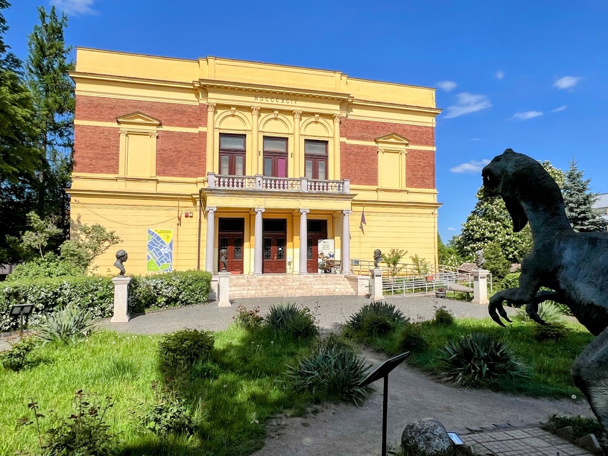 Muzeul de Istorie Naturală - foto 1