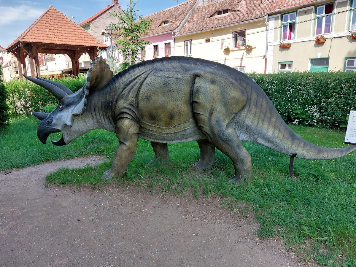 Muzeul de Istorie Naturală - foto 2